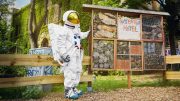 Astronaut vor einem Insektenhotel