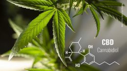 Cannabis Blätter und Formel