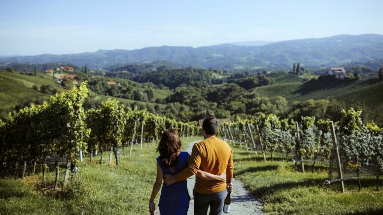 Paar mit Weinflaschen in der Hand mit dem Rücken zum Betrachter geht einen Weg in den Weinbergen der Südsteiermark