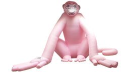 rosa Affe aufblasbar, Kunstobjekt